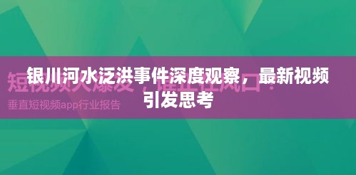 銀川河水泛洪事件深度觀察，最新視頻引發(fā)思考