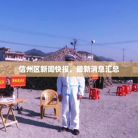 信州區(qū)新聞快報，最新消息匯總