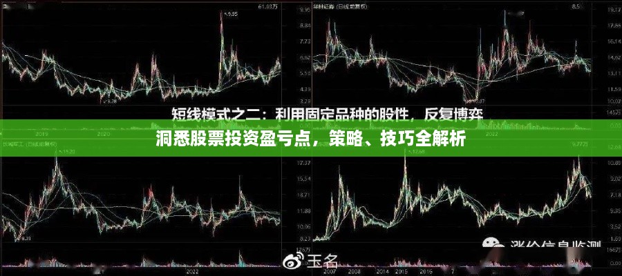 洞悉股票投資盈虧點(diǎn)，策略、技巧全解析
