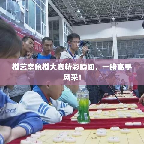 棋藝室象棋大賽精彩瞬間，一睹高手風(fēng)采！