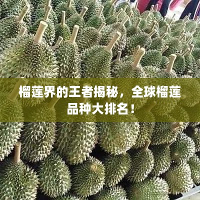 榴蓮界的王者揭秘，全球榴蓮品種大排名！