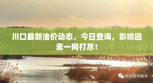 川口最新油價(jià)動(dòng)態(tài)，今日查詢，影響因素一網(wǎng)打盡！