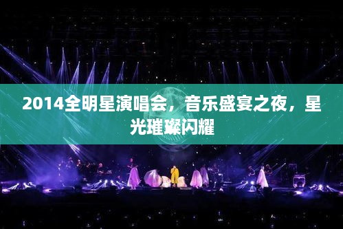 2014全明星演唱會(huì)，音樂(lè)盛宴之夜，星光璀璨閃耀