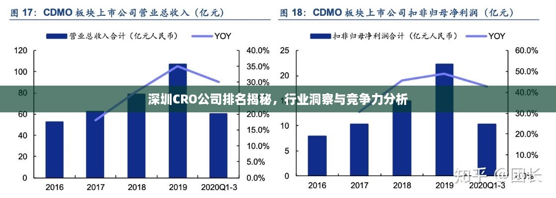 深圳CRO公司排名揭秘，行業(yè)洞察與競爭力分析