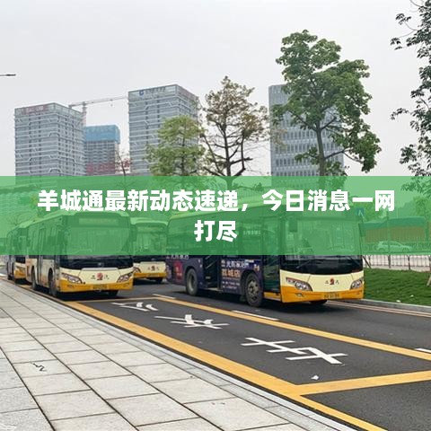 羊城通最新動態(tài)速遞，今日消息一網(wǎng)打盡