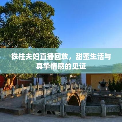 鐵柱夫婦直播回放，甜蜜生活與真摯情感的見證