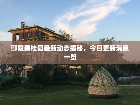 鄢陵碧桂園最新動態(tài)揭秘，今日更新消息一覽