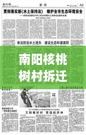 南陽核桃樹村拆遷重磅更新，最新動態(tài)揭秘！