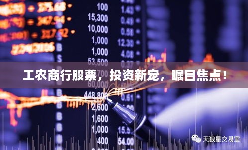 工農(nóng)商行股票，投資新寵，矚目焦點！
