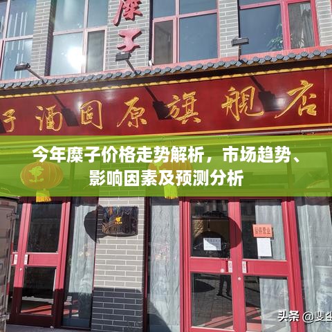 今年糜子價格走勢解析，市場趨勢、影響因素及預(yù)測分析