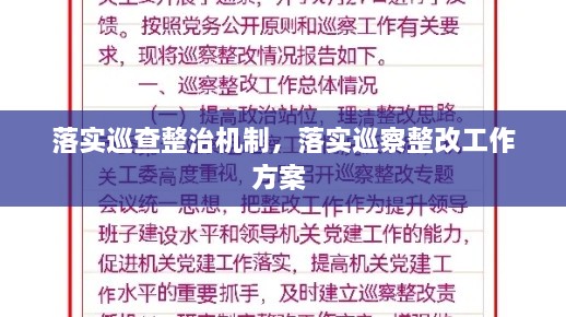 落實(shí)巡查整治機(jī)制，落實(shí)巡察整改工作方案 