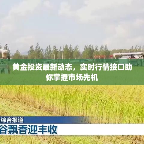 黃金投資最新動態(tài)，實時行情接口助你掌握市場先機