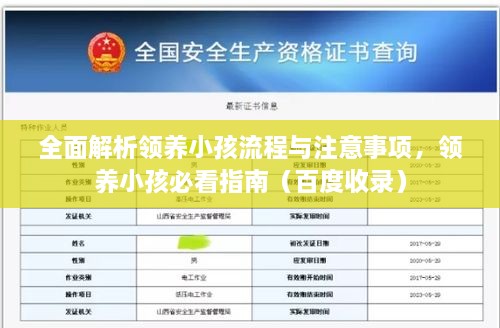 全面解析領(lǐng)養(yǎng)小孩流程與注意事項，領(lǐng)養(yǎng)小孩必看指南（百度收錄）