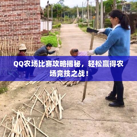 QQ農(nóng)場比賽攻略揭秘，輕松贏得農(nóng)場競技之戰(zhàn)！