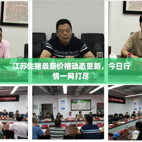 江蘇生豬最新價格動態(tài)更新，今日行情一網(wǎng)打盡
