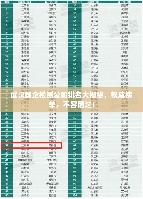 武漢國企檢測公司排名大揭秘，權(quán)威榜單，不容錯過！