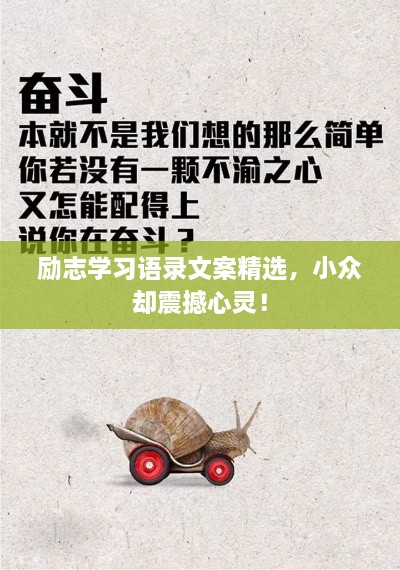 勵志學(xué)習(xí)語錄文案精選，小眾卻震撼心靈！