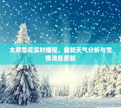 太原雪花實(shí)時(shí)播報(bào)，最新天氣分析與雪情消息更新