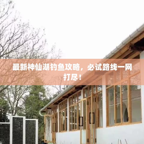 最新神仙湖釣魚攻略，必試路線一網(wǎng)打盡！