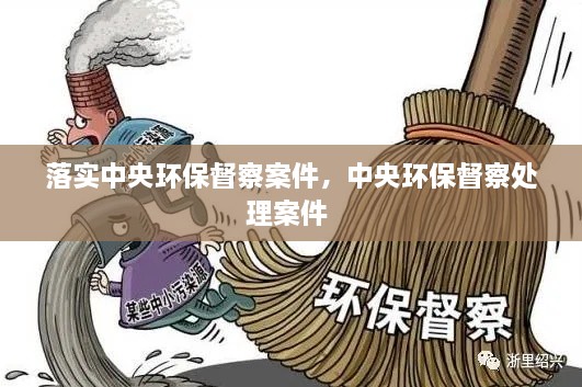 落實(shí)中央環(huán)保督察案件，中央環(huán)保督察處理案件 