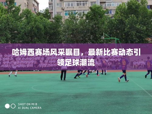 哈姆西賽場(chǎng)風(fēng)采矚目，最新比賽動(dòng)態(tài)引領(lǐng)足球潮流