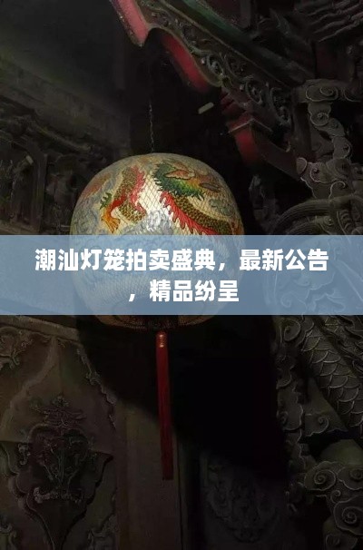 潮汕燈籠拍賣盛典，最新公告，精品紛呈