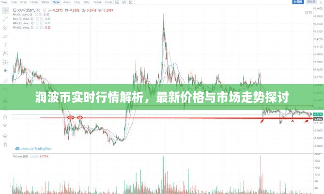 潤波幣實時行情解析，最新價格與市場走勢探討