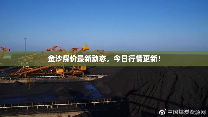 金沙煤價最新動態(tài)，今日行情更新！