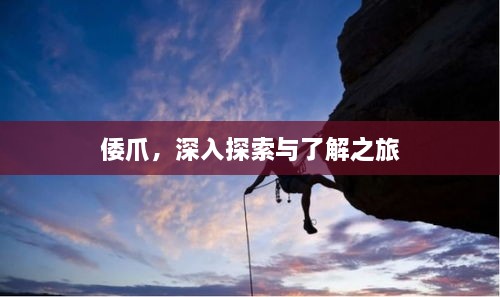 倭爪，深入探索與了解之旅
