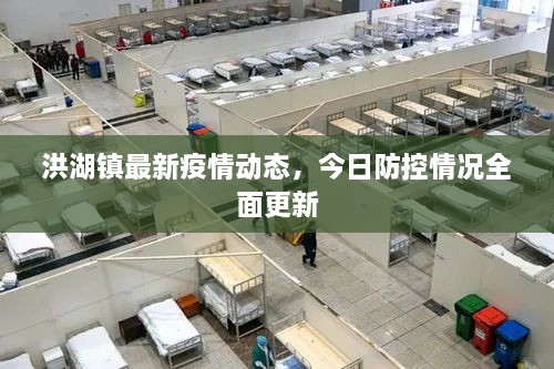 洪湖鎮(zhèn)最新疫情動態(tài)，今日防控情況全面更新