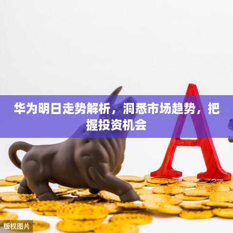 華為明日走勢解析，洞悉市場趨勢，把握投資機(jī)會(huì)