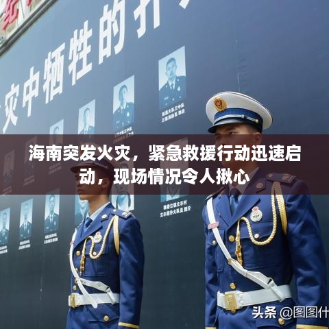 海南突發(fā)火災(zāi)，緊急救援行動(dòng)迅速啟動(dòng)，現(xiàn)場(chǎng)情況令人揪心