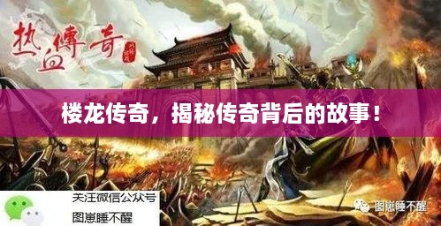 樓龍傳奇，揭秘傳奇背后的故事！