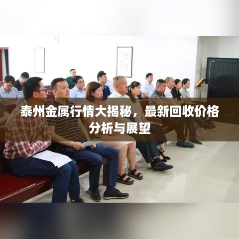 泰州金屬行情大揭秘，最新回收價格分析與展望