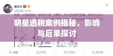 明星逃稅案例揭秘，影響與后果探討