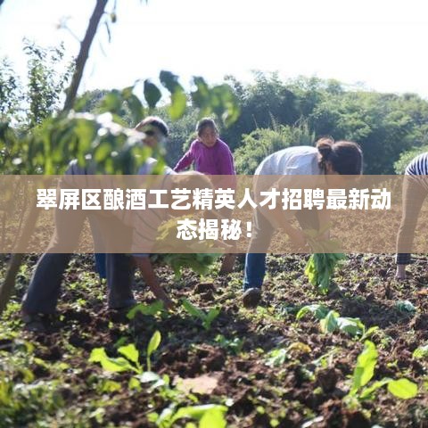 翠屏區(qū)釀酒工藝精英人才招聘最新動(dòng)態(tài)揭秘！