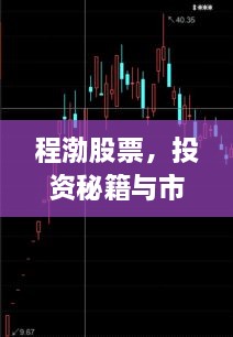 程渤股票，投資秘籍與市場深度洞察