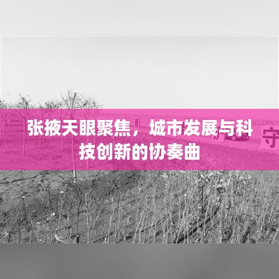 張掖天眼聚焦，城市發(fā)展與科技創(chuàng)新的協(xié)奏曲