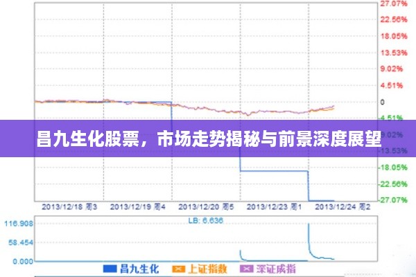昌九生化股票，市場走勢揭秘與前景深度展望
