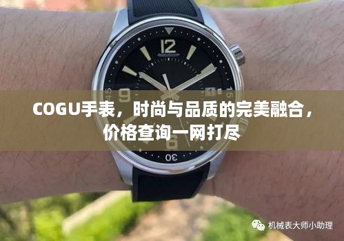 COGU手表，時(shí)尚與品質(zhì)的完美融合，價(jià)格查詢(xún)一網(wǎng)打盡