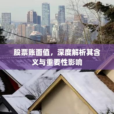 股票賬面值，深度解析其含義與重要性影響