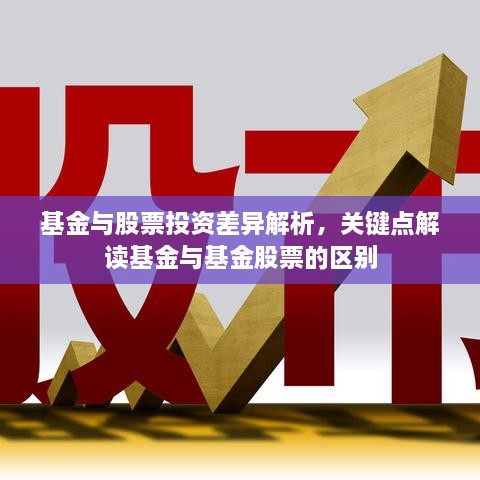 基金與股票投資差異解析，關(guān)鍵點解讀基金與基金股票的區(qū)別
