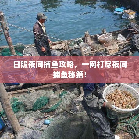 日照夜間捕魚攻略，一網(wǎng)打盡夜間捕魚秘籍！