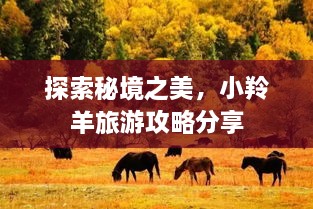 探索秘境之美，小羚羊旅游攻略分享