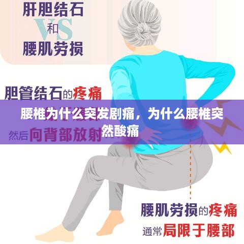 腰椎為什么突發(fā)劇痛，為什么腰椎突然酸痛 