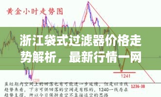 浙江袋式過濾器價(jià)格走勢(shì)解析，最新行情一網(wǎng)打盡！
