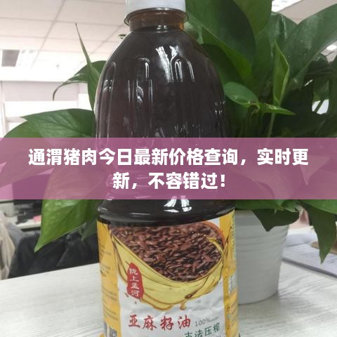 通渭豬肉今日最新價(jià)格查詢，實(shí)時(shí)更新，不容錯(cuò)過！