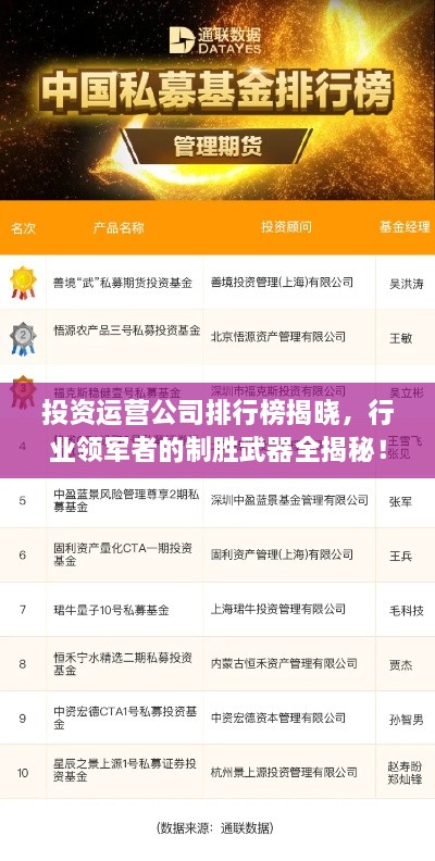 投資運(yùn)營(yíng)公司排行榜揭曉，行業(yè)領(lǐng)軍者的制勝武器全揭秘！