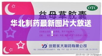 華北制藥最新圖片大放送！