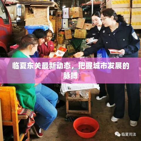 臨夏東關(guān)最新動態(tài)，把握城市發(fā)展的脈搏